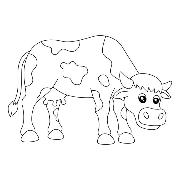 Coloring book calf stock illustrations royalty