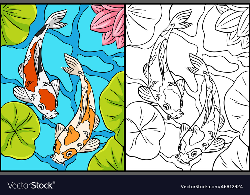 Koi fish coloring page colored royalty free vector image