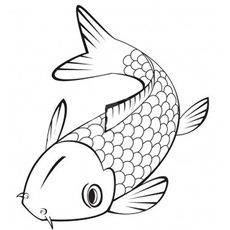 Top free printable koi fish coloring pages online