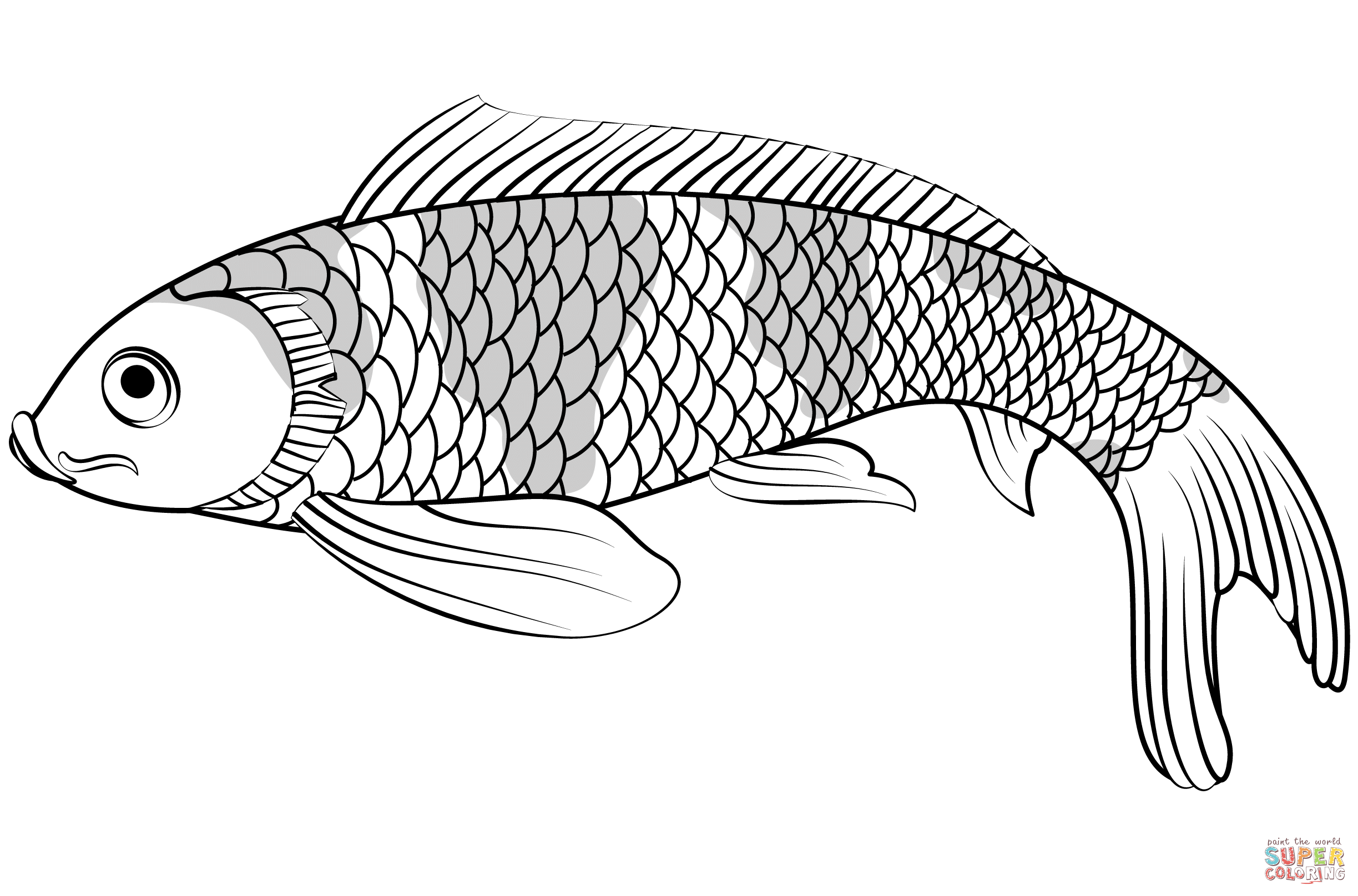 Koi fish coloring page free printable coloring pages