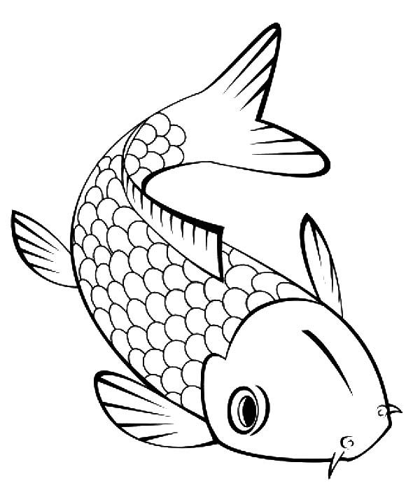 Cute little koi fish coloring pages