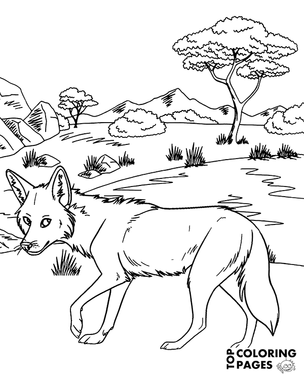 Printable coloring page african coyote