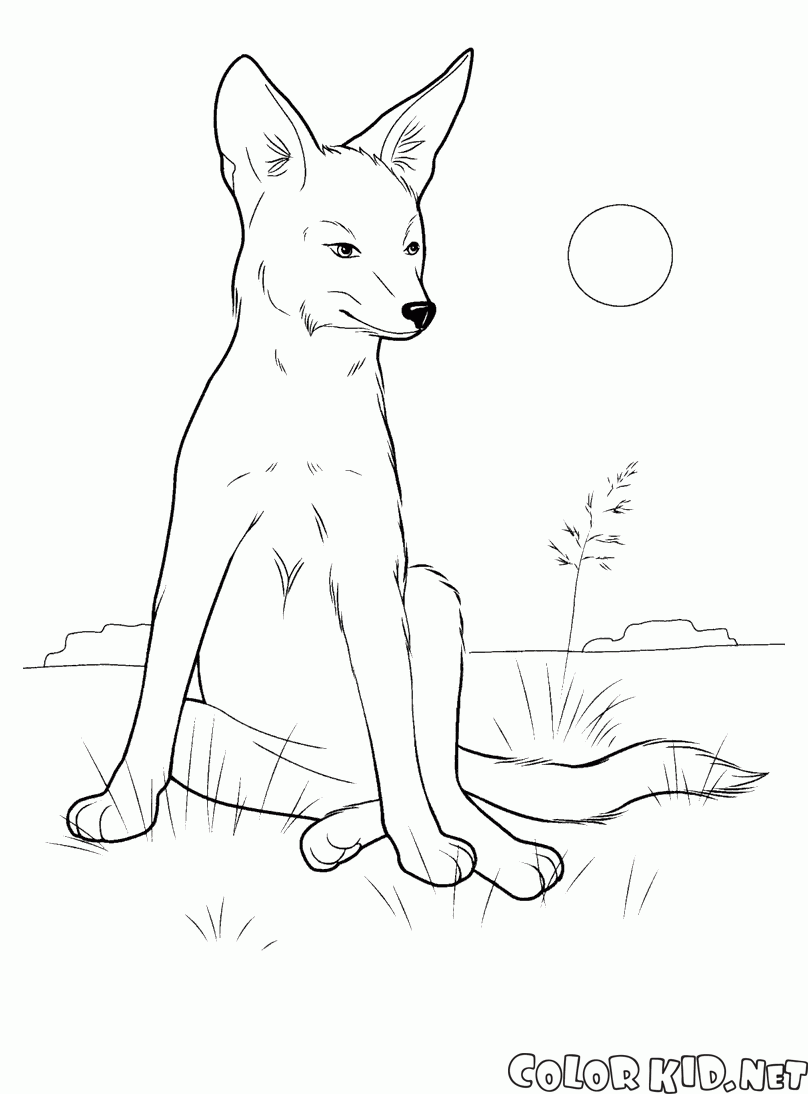 Coloring page