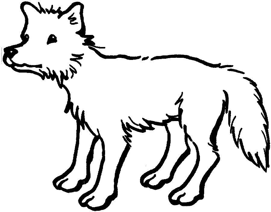 Free printable coyote coloring pages for kids