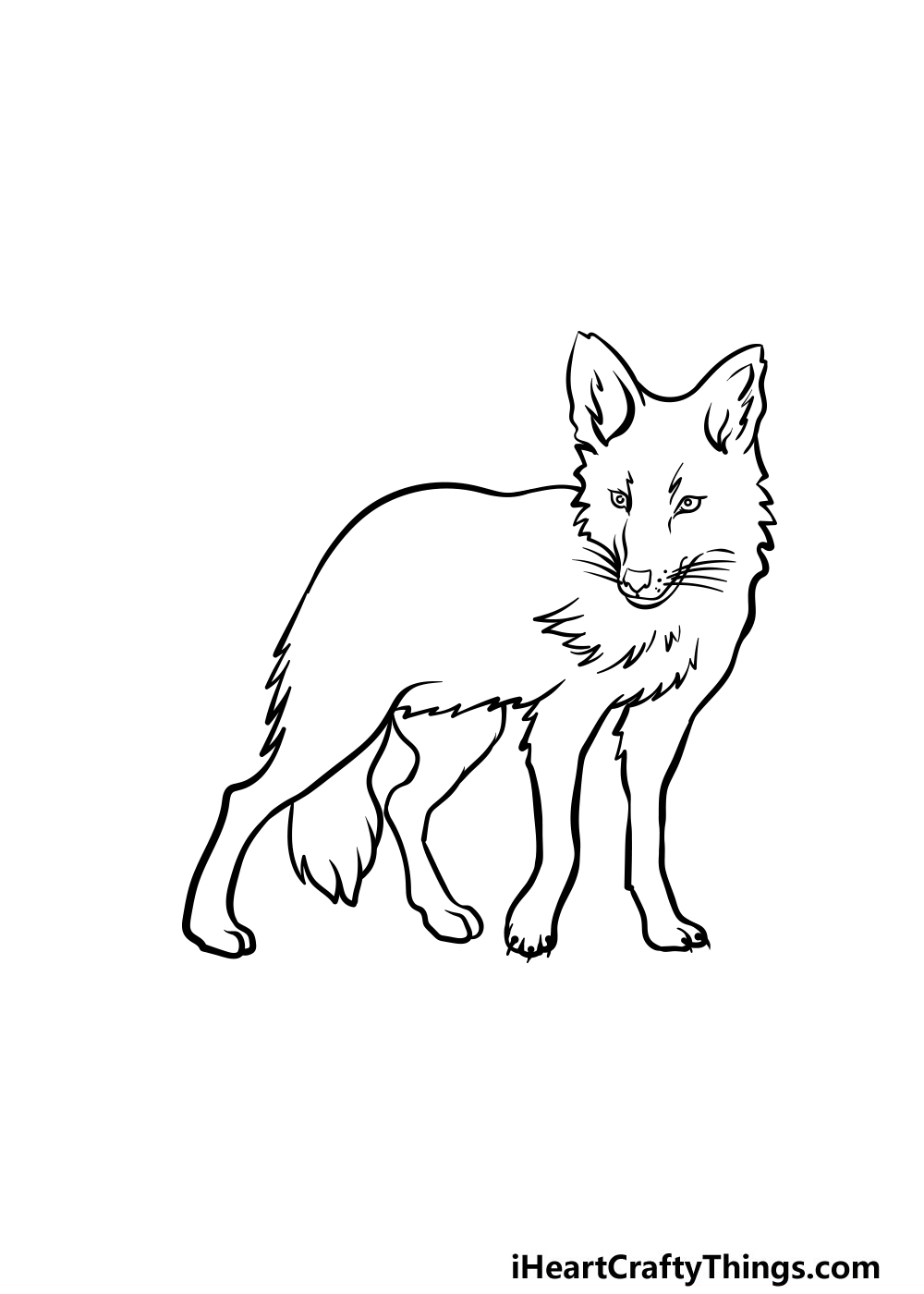 Coyote drawing