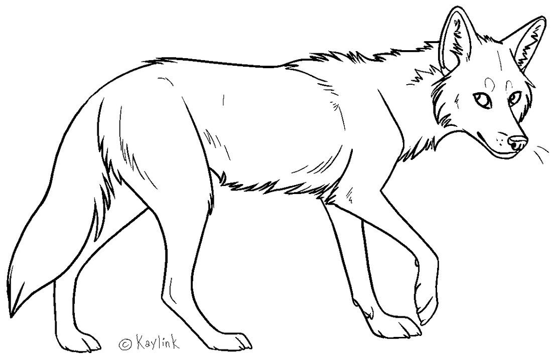 Browse art line drawing coyote coloring pages