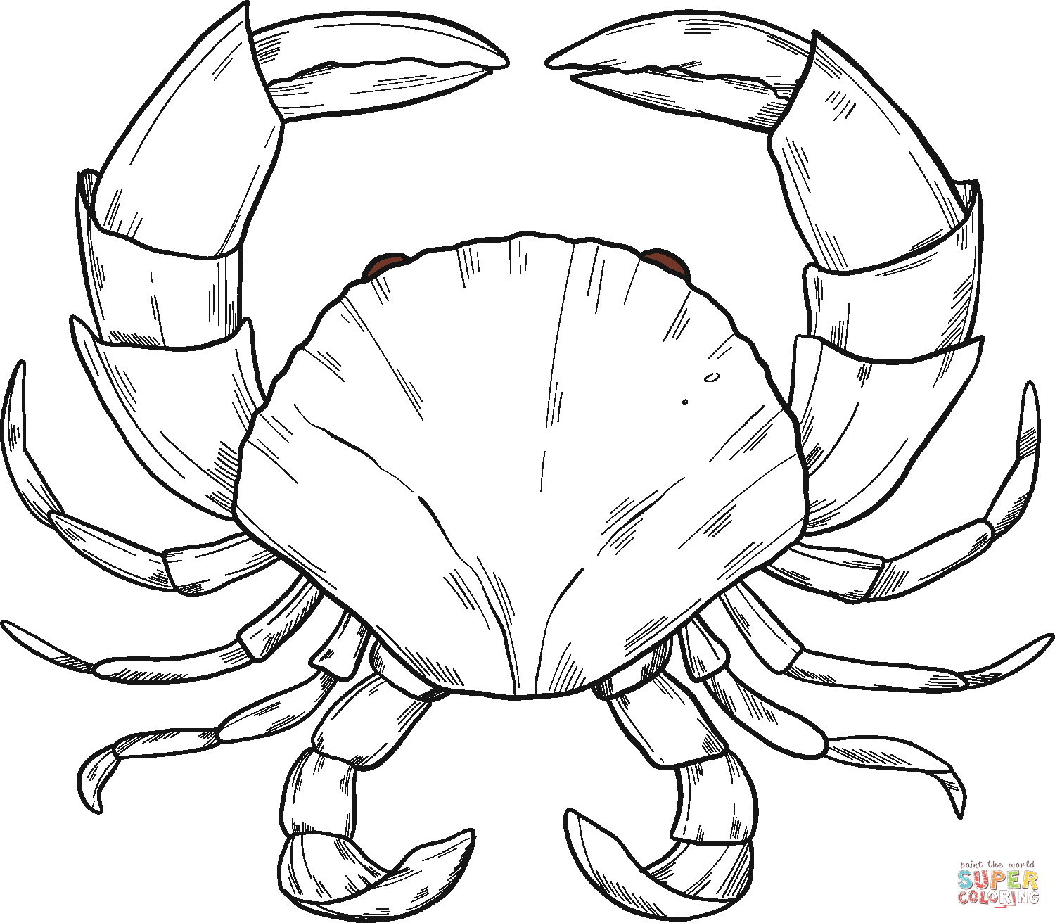 Crab coloring page free printable coloring pages