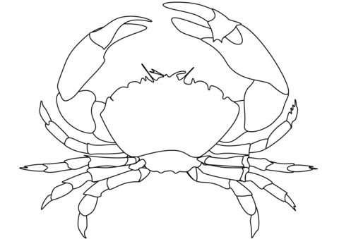 Crab coloring page free printable coloring pages