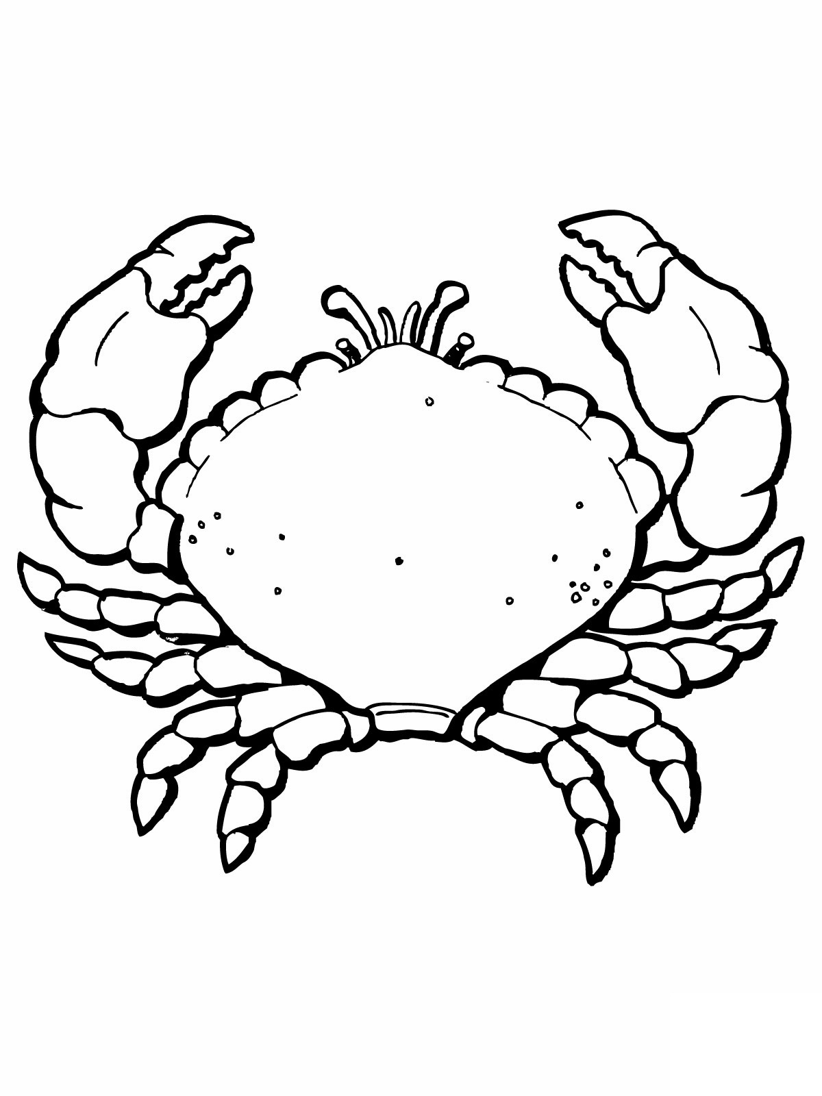 Free printable crab coloring pages for kids