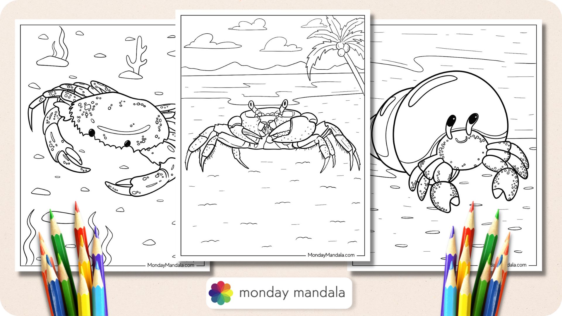 Crab coloring pages free pdf printables