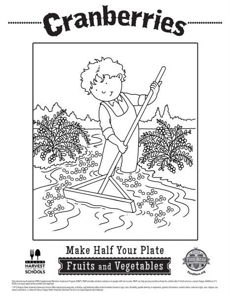 Cranberries coloring pages food hero