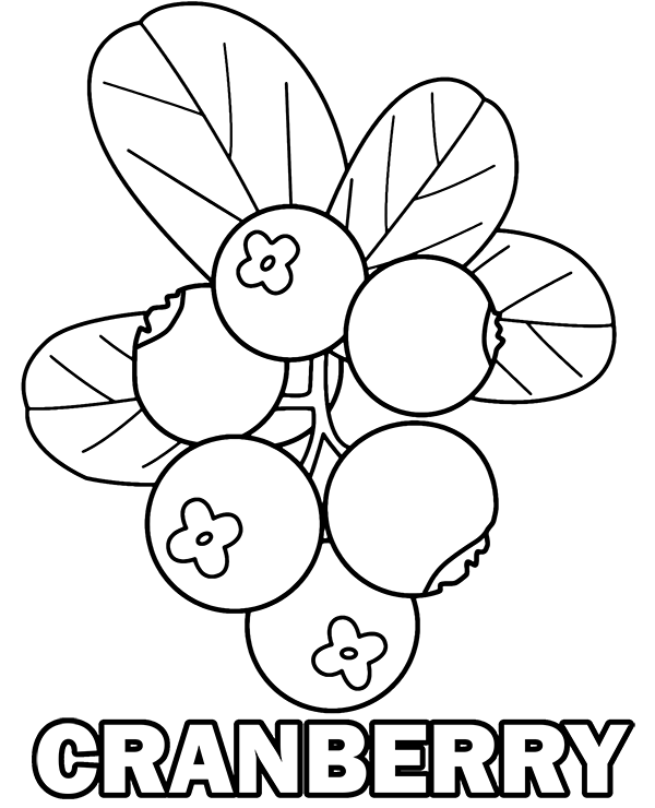 Wild cranberry coloring sheet to print