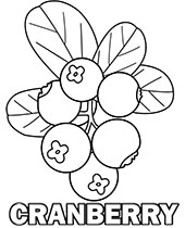 Cute cherries coloring page to print