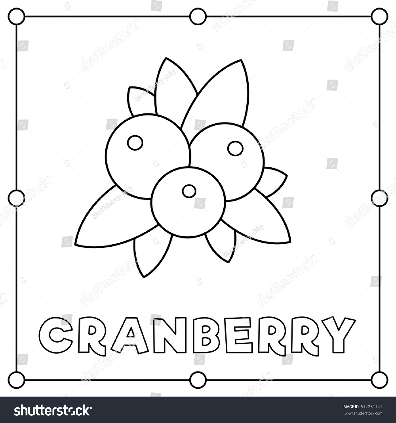Black white illustration cranberry coloring page stock vector royalty free