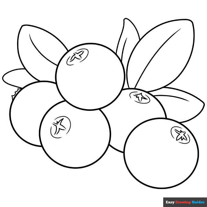 Cranberry coloring page easy drawing guides