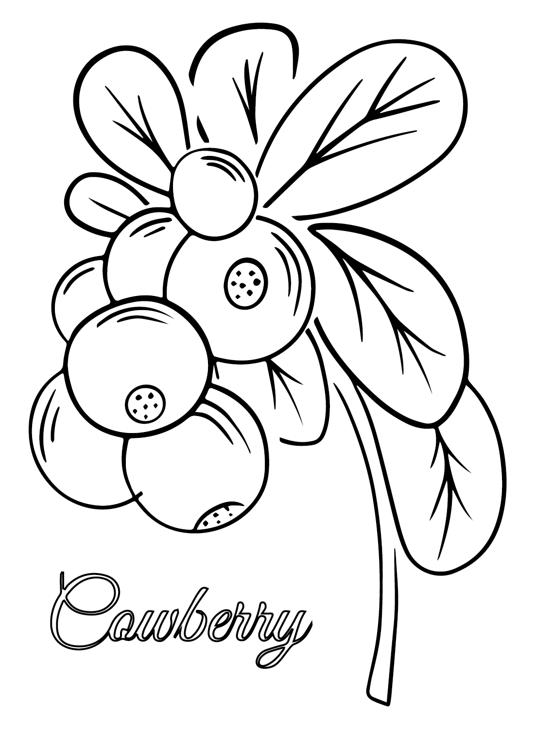 Cranberry coloring pages printable for free download
