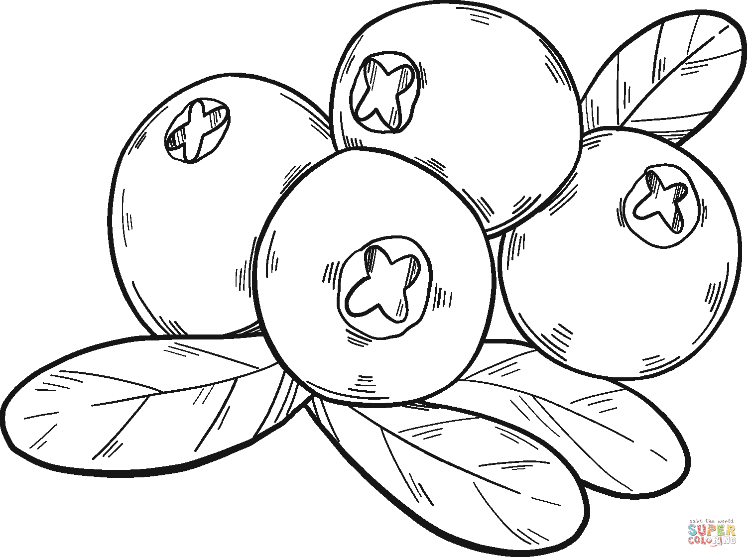 Cranberries coloring page free printable coloring pages