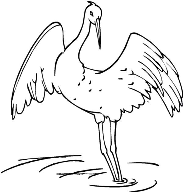 Crane coloring page flying bird coloring pages crane bird coloring pages