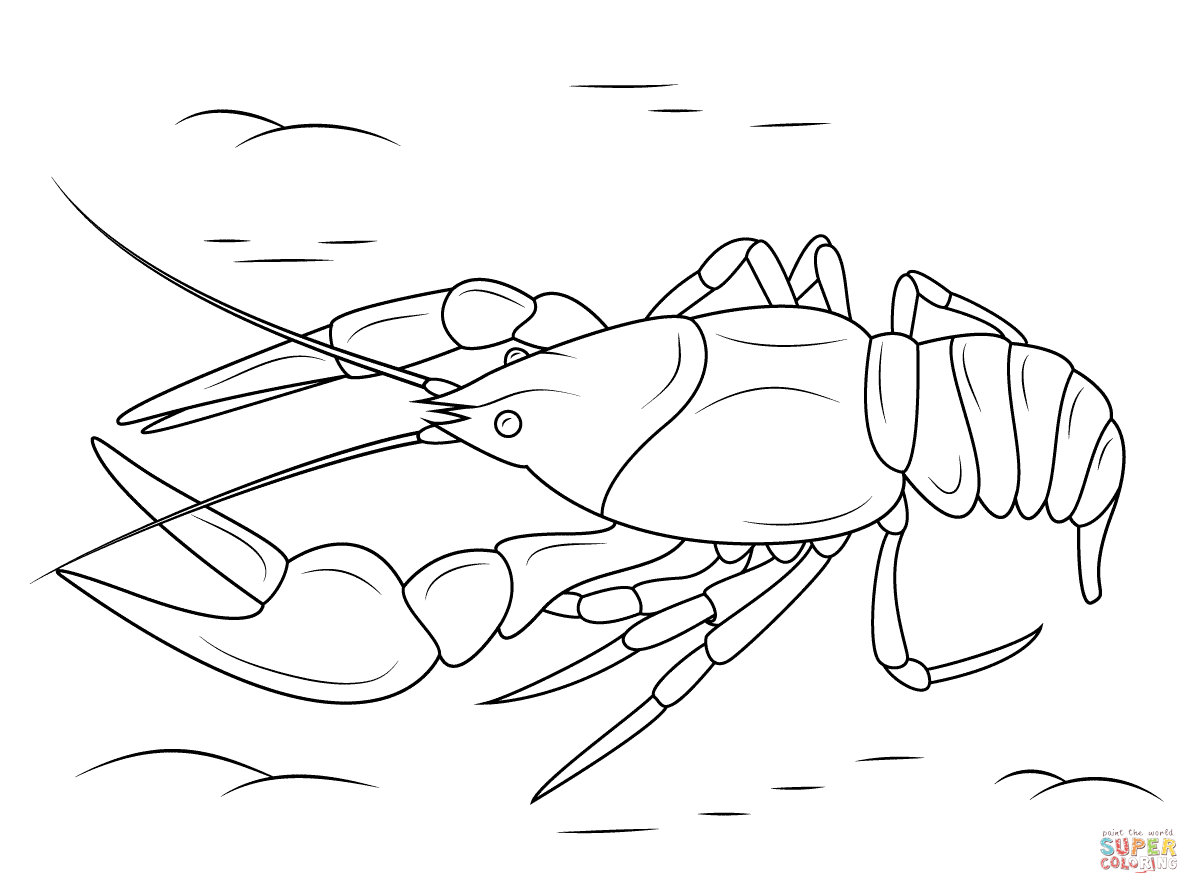 Danube crayfish coloring page free printable coloring pages coloring pages super coloring pages free printable coloring pages