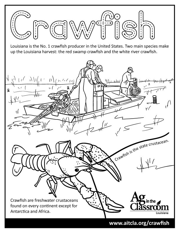 Commodity coloring â louisiana ag in the classroom