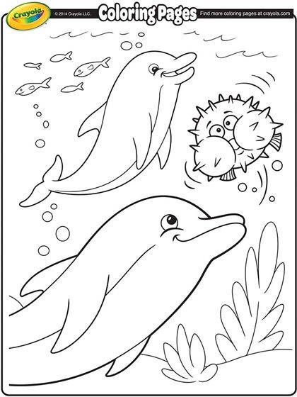 Dolphins coloring page crayolacom dolphin coloring pages coloring pages free coloring pages