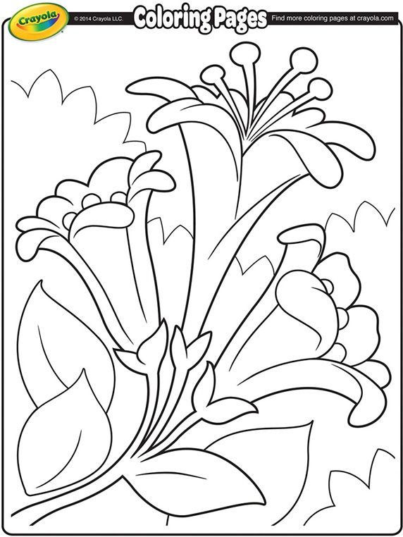 Easter lilies ii on crayola easter coloring pages free coloring pages crayola coloring pages