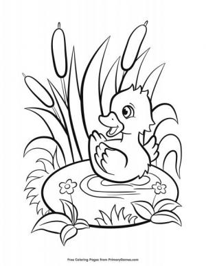 Spring coloring pages the city of tualatin oregon official website