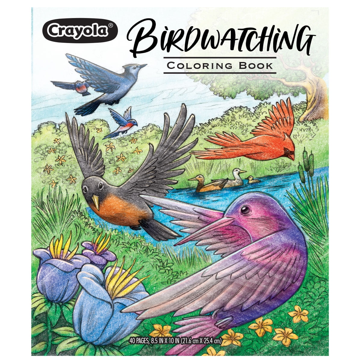 Crayola bird coloring book premium birdwatching adult coloring pages