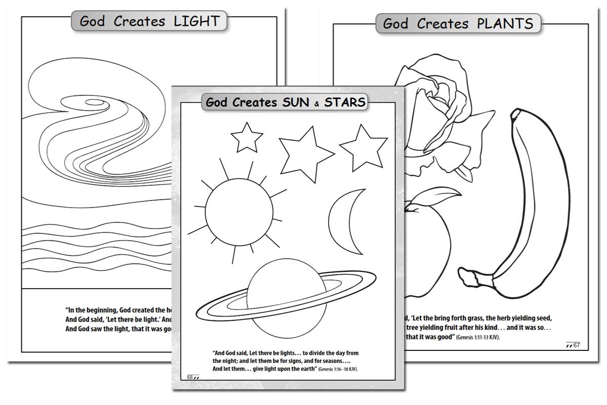 Days of creation coloring book free diy homeschooler