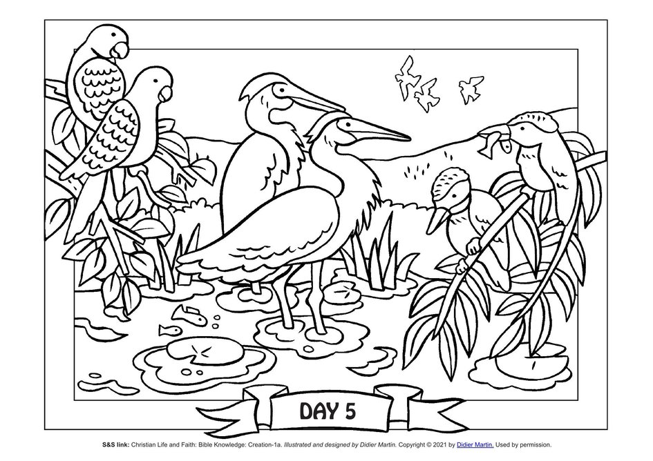 Coloring page the creation of the world birds in the sky my wonder studio