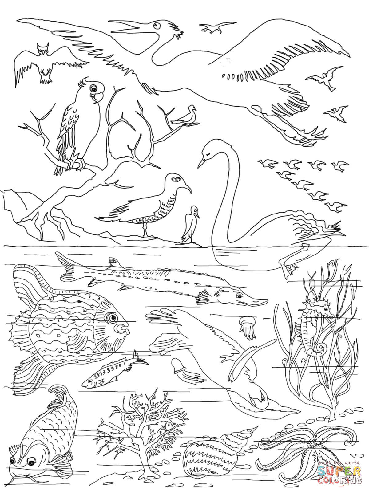 Th day of creation coloring page free printable coloring pages