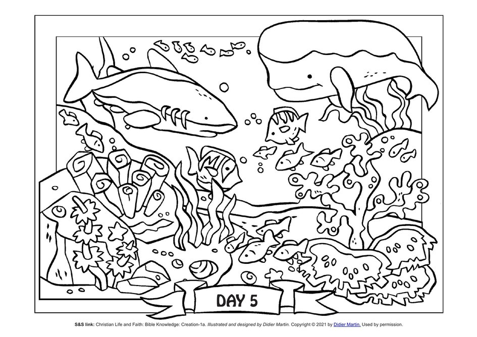 Coloring page the creation of the world moving creatures in the water my wonder studio