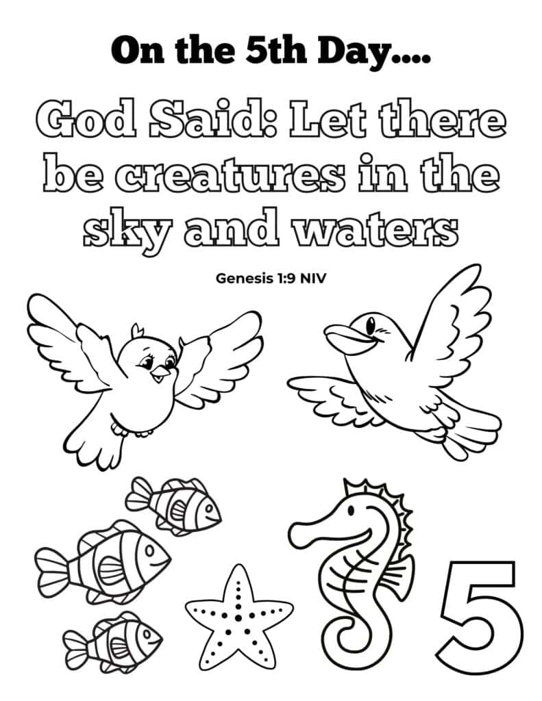 Days of creation coloring pages