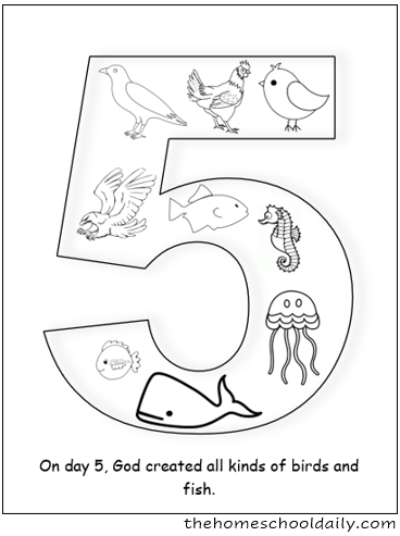 Days of creation coloring pages