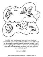 Creation coloring pages