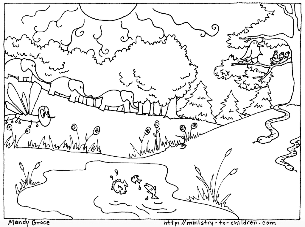 Creation coloring pages