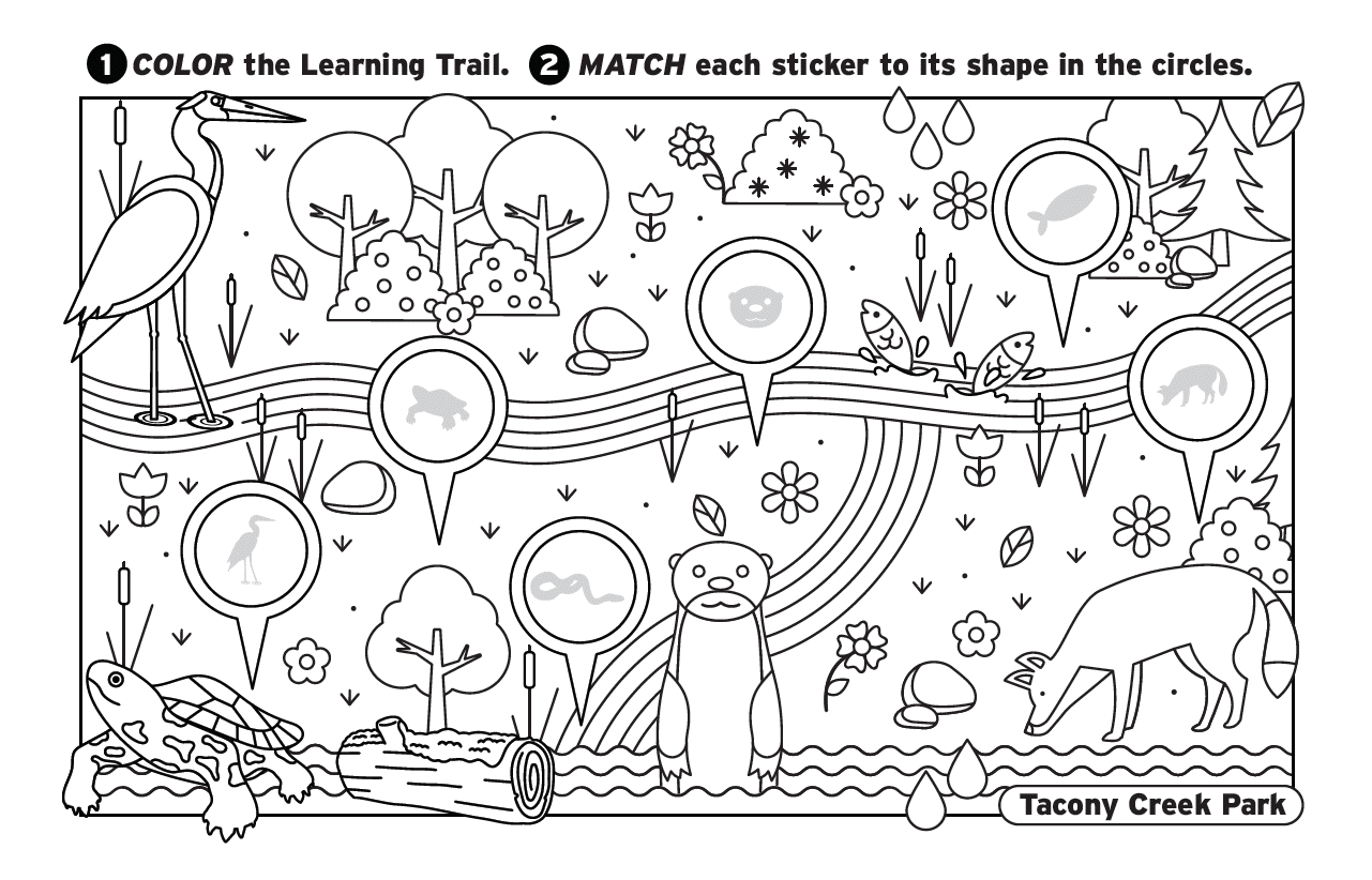 River alive learning trail coloring pages