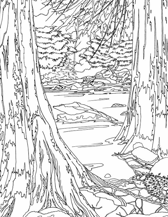 River between two trees adult coloring page adult coloring page nature coloring pages nature coloring adult coloring