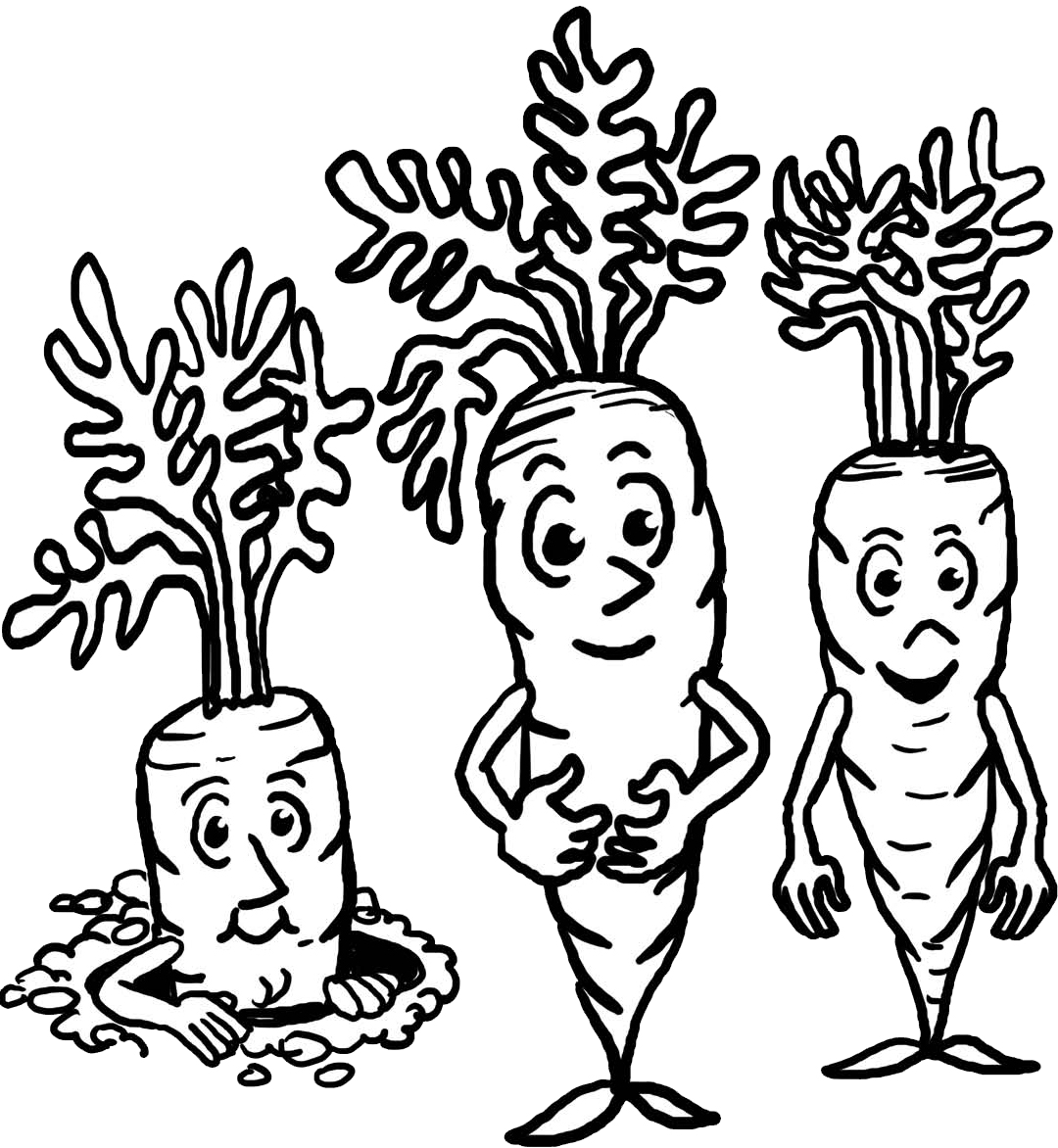 Carrot coloring pages