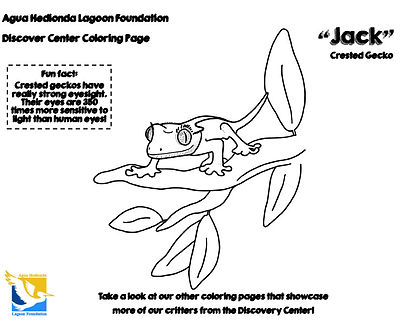 Coloring pages agua hedionda lagoon