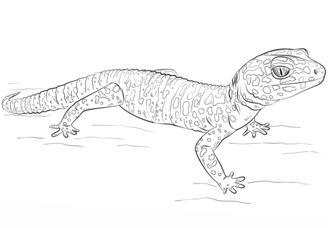 Leopard gecko coloring page free printable coloring pages