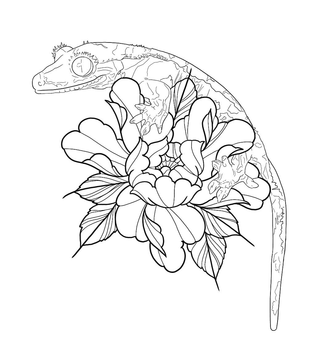 Crested gecko design i made rdrawing