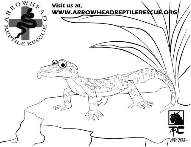 Brilliant image of gecko coloring page