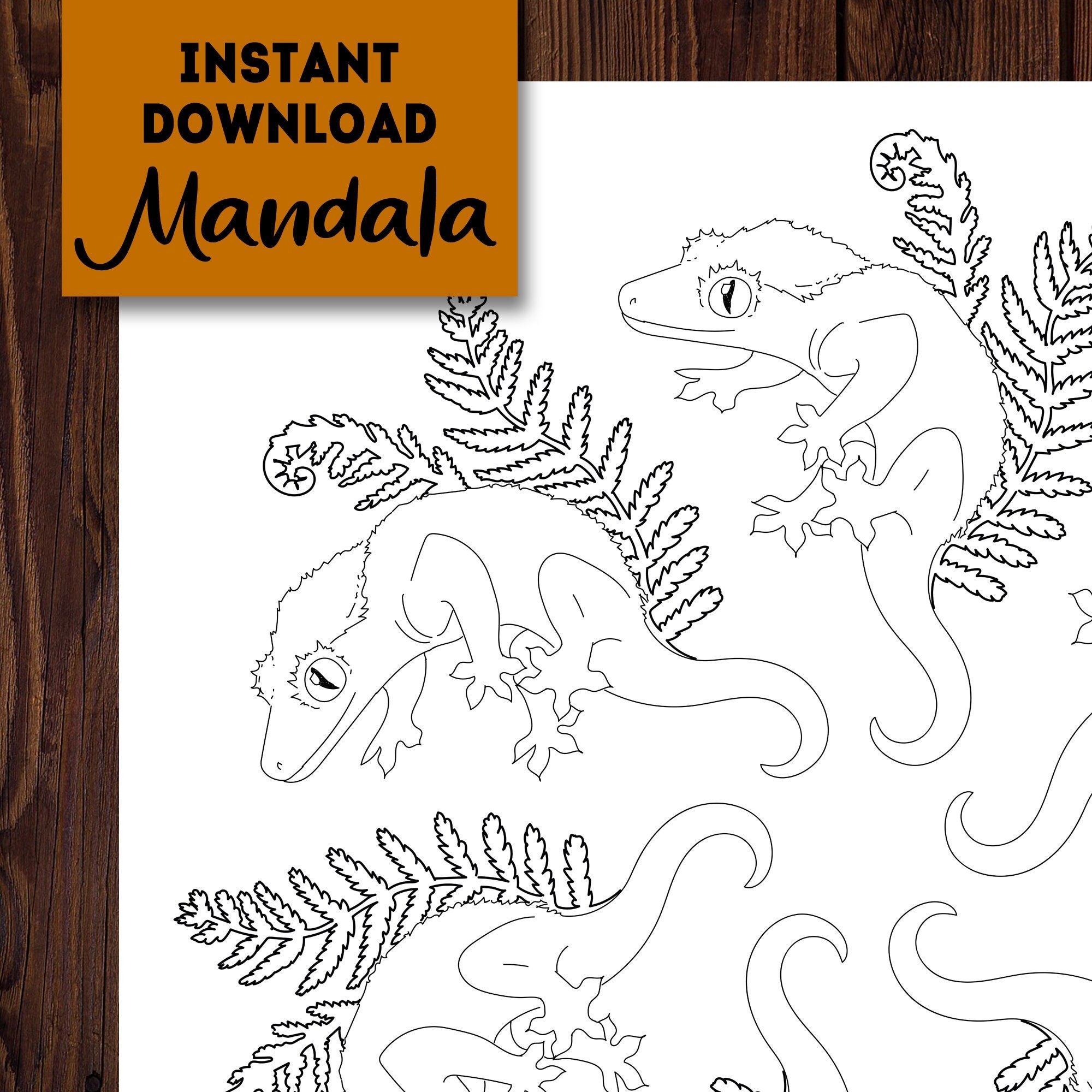 Coloring page crested gecko mandala printable coloring