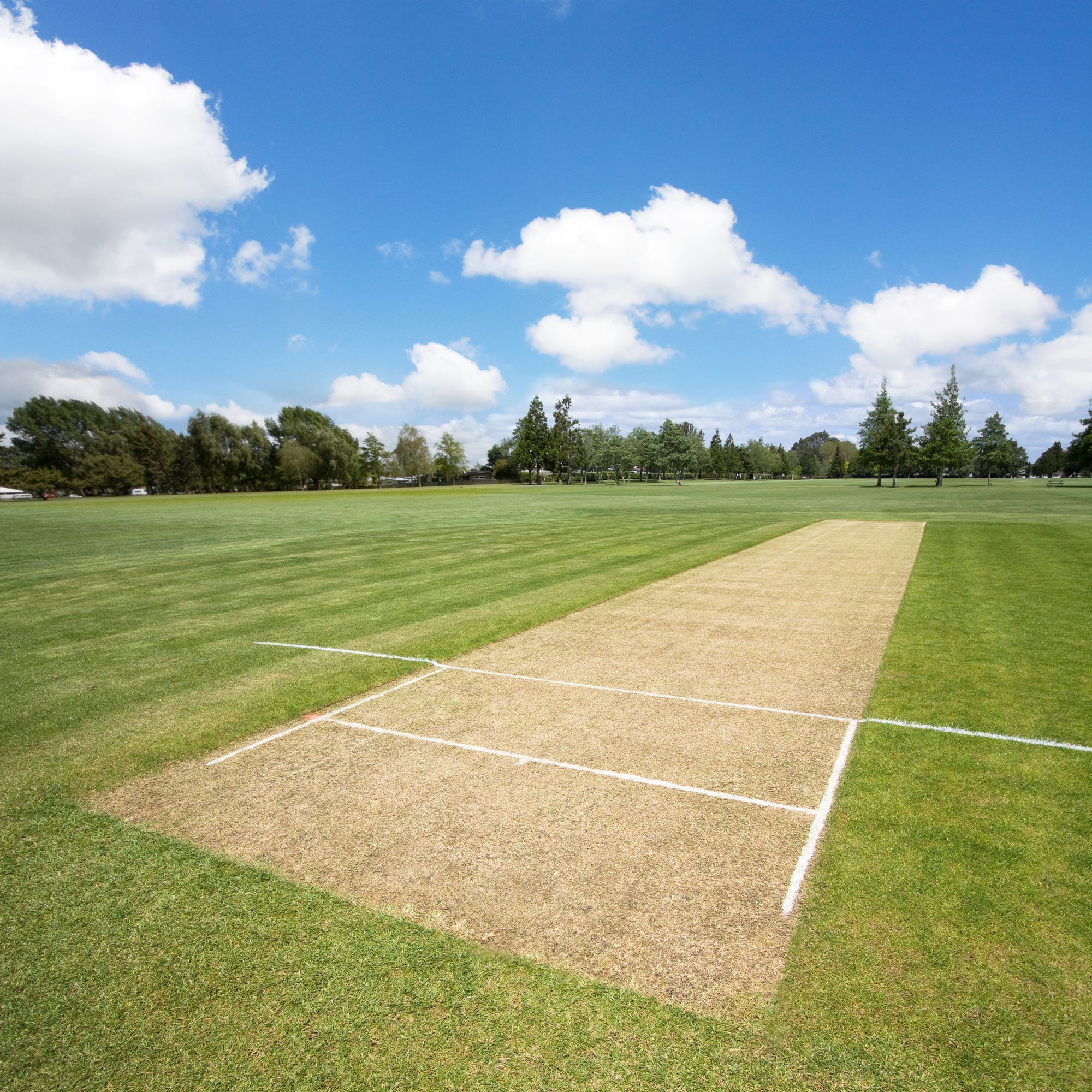 Cricket pitch in the sports park