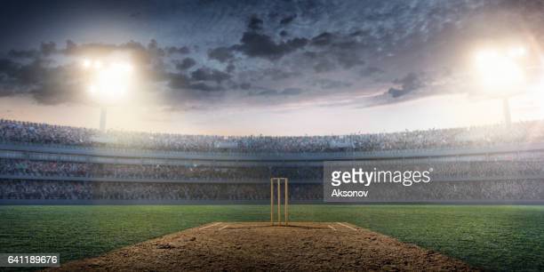 Cricket pitch photos and premium high res pictures