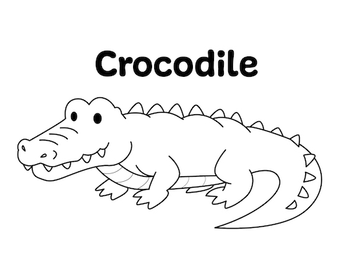 Crocodile coloring page