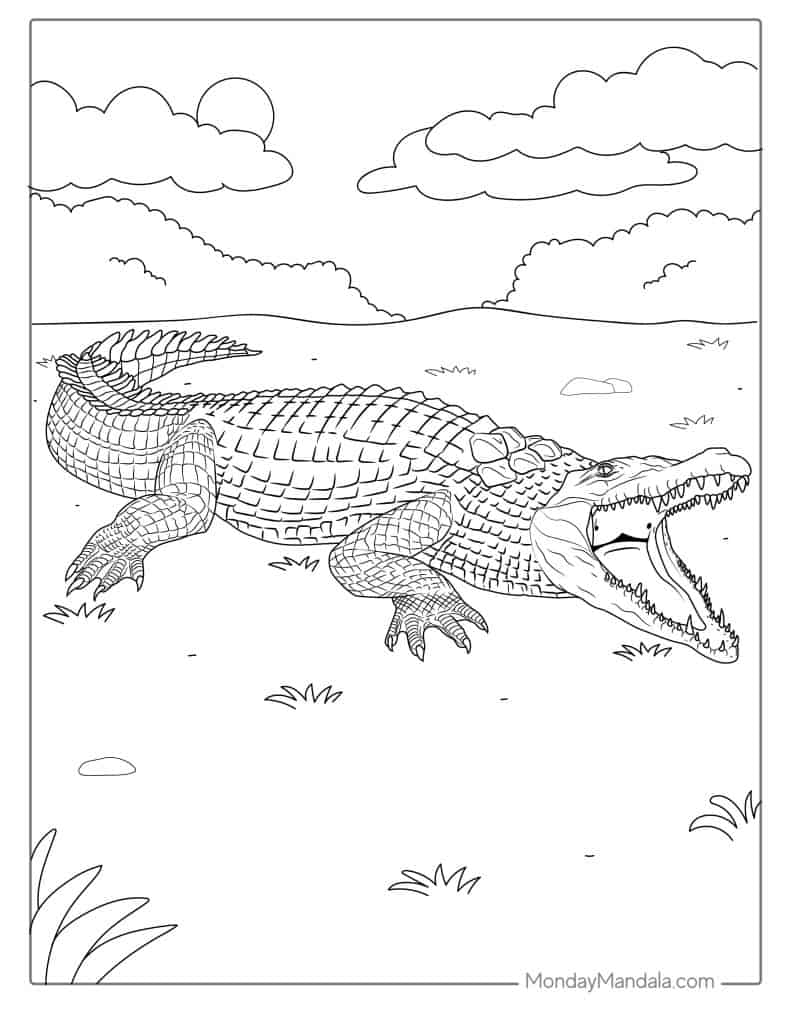 Crocodile coloring pages free pdf printables