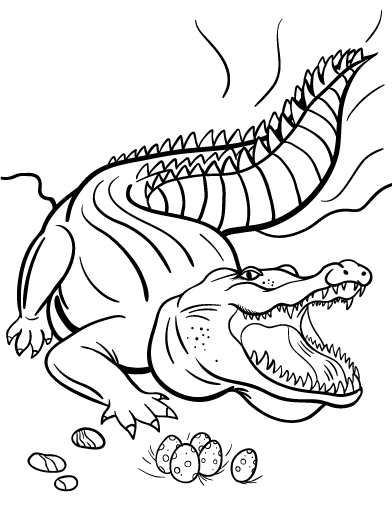 Free crocodile coloring page