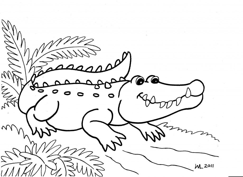 Free printable alligator coloring pages for kids animal coloring pages coloring pages to print coloring pages